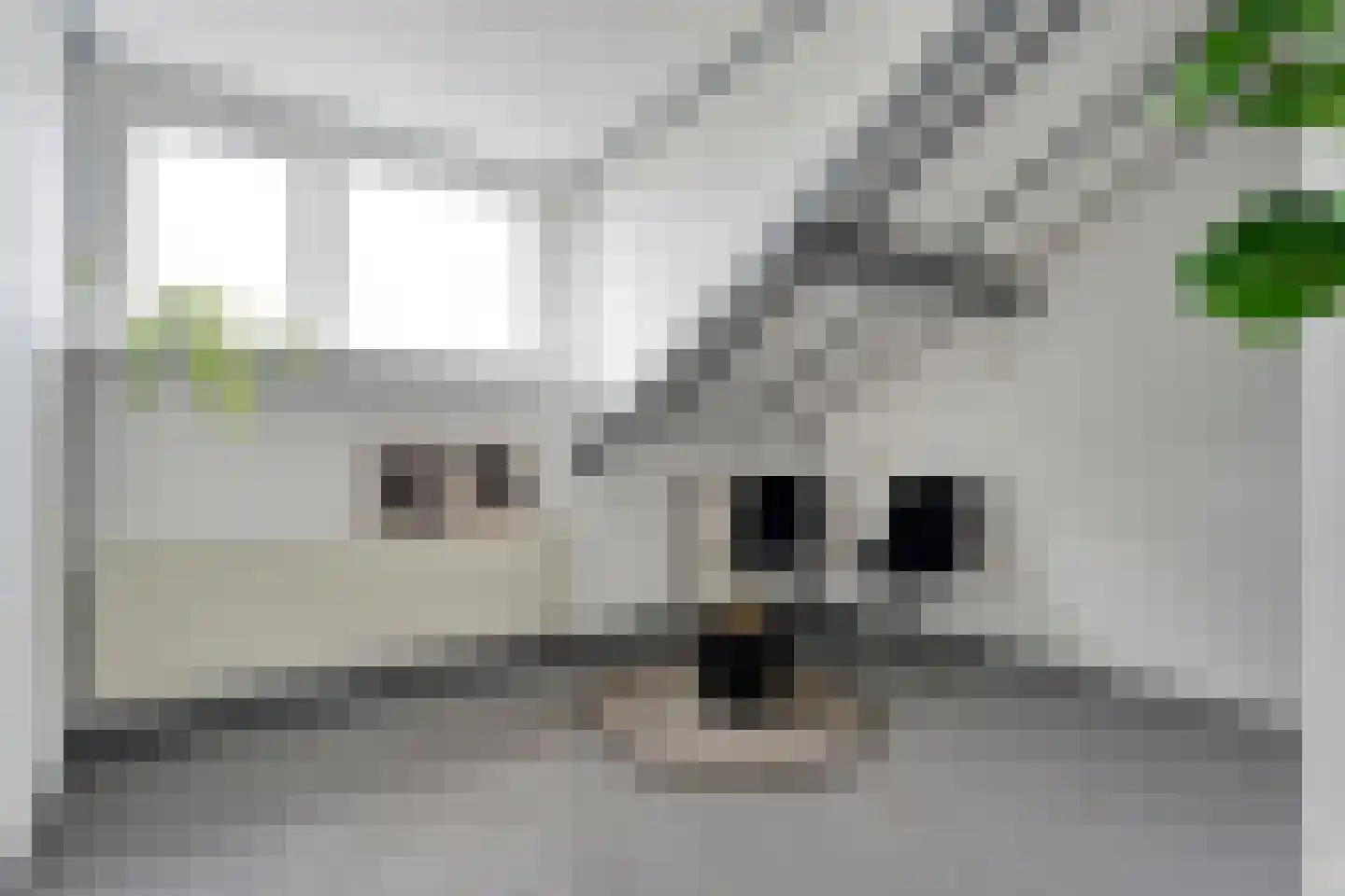 Bolsterstraat 11 Slagharen thumbnail 33