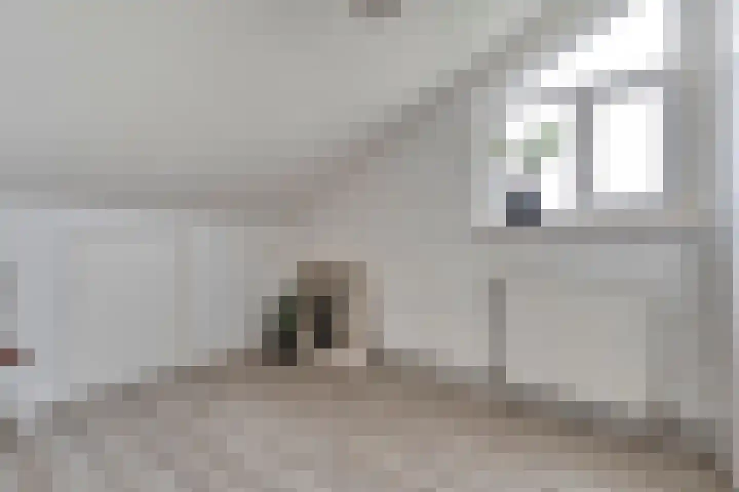 Bolsterstraat 11 Slagharen thumbnail 37