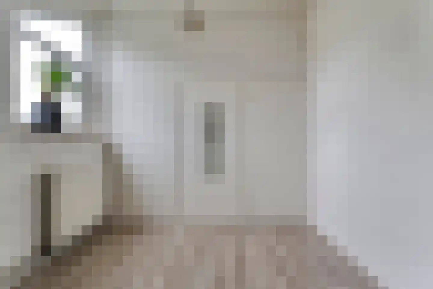 Bolsterstraat 11 Slagharen thumbnail 38