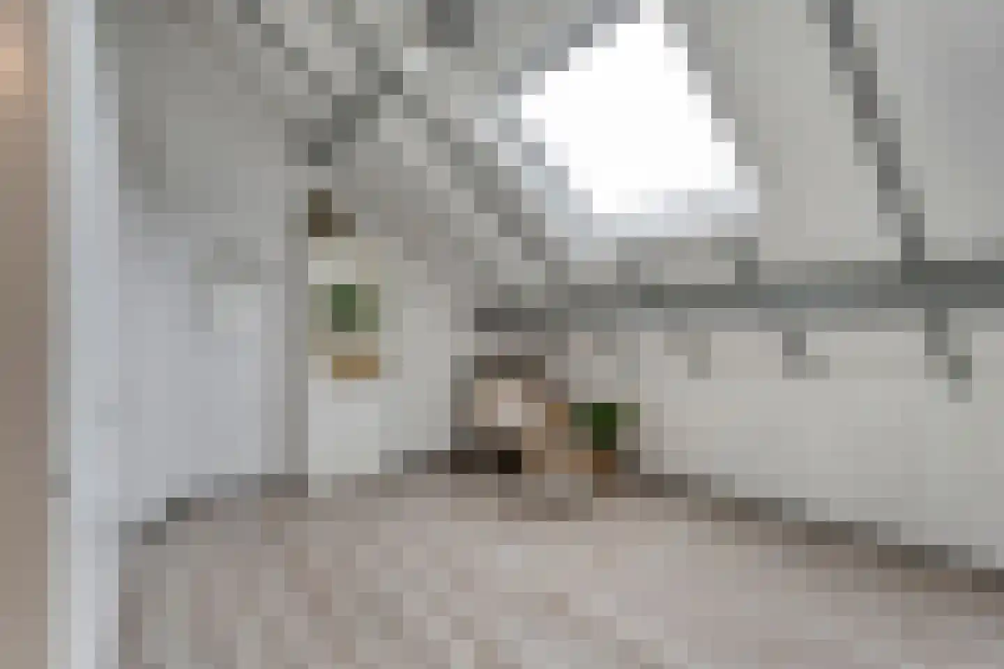 Bolsterstraat 11 Slagharen thumbnail 41