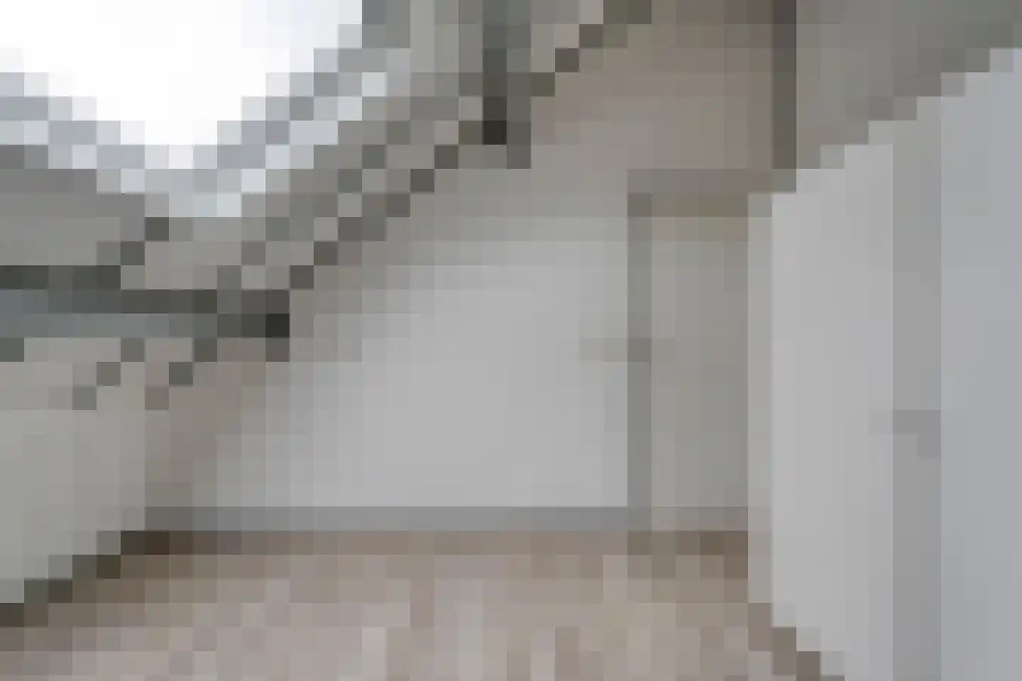 Bolsterstraat 11 Slagharen thumbnail 42
