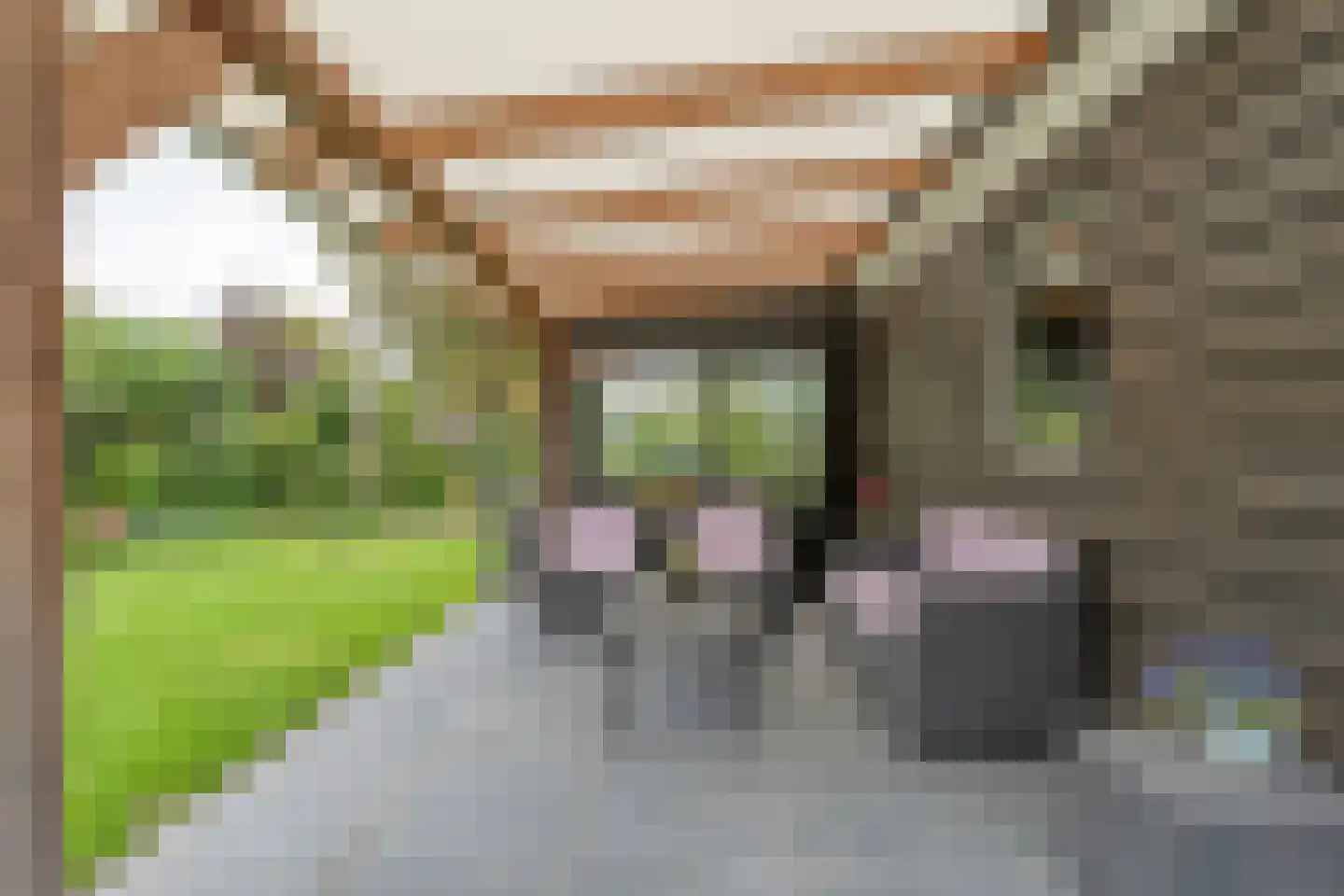 Bolsterstraat 11 Slagharen thumbnail 51