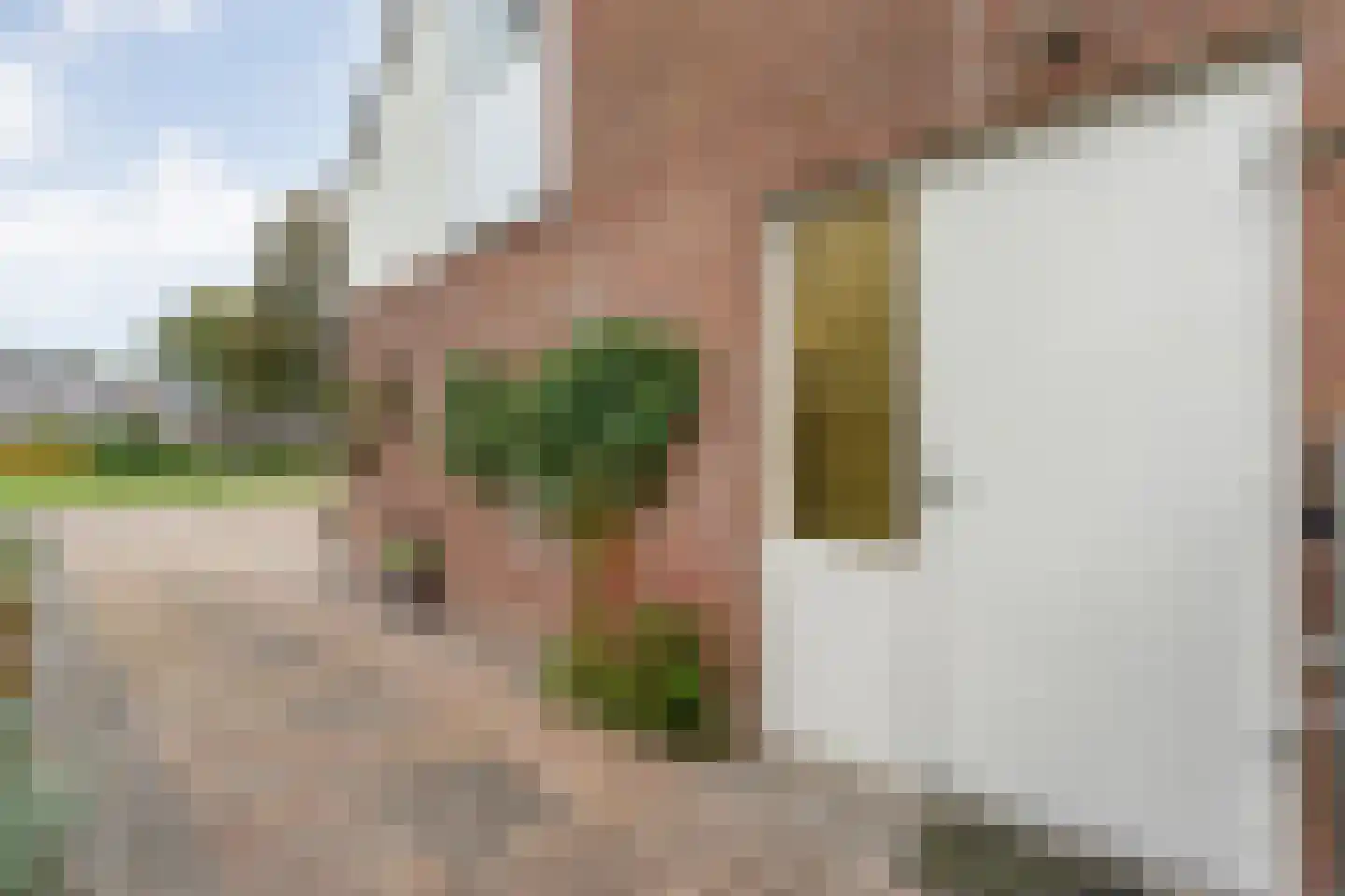 Bolsterstraat 11 Slagharen thumbnail 59