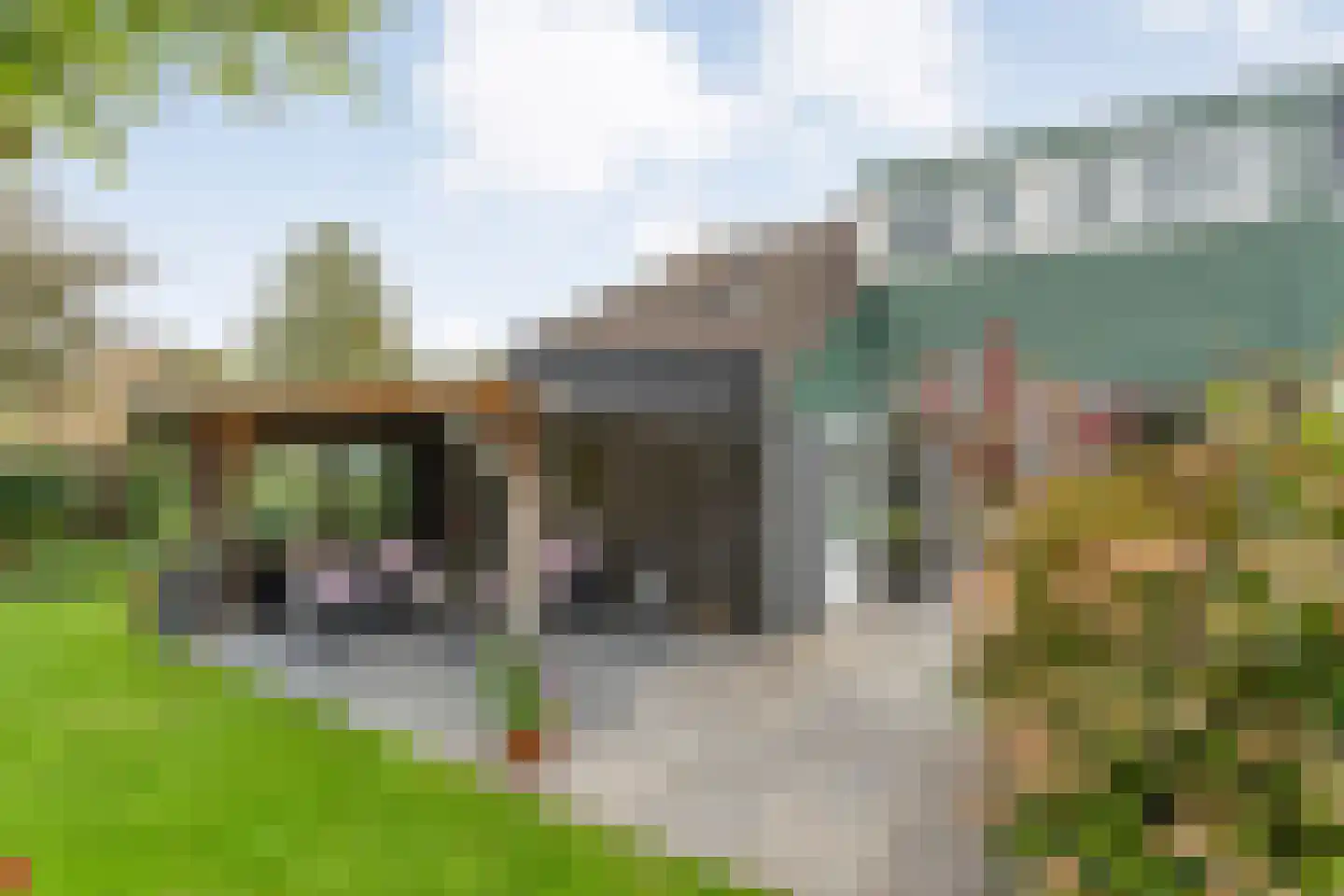 Bolsterstraat 11 Slagharen thumbnail 6
