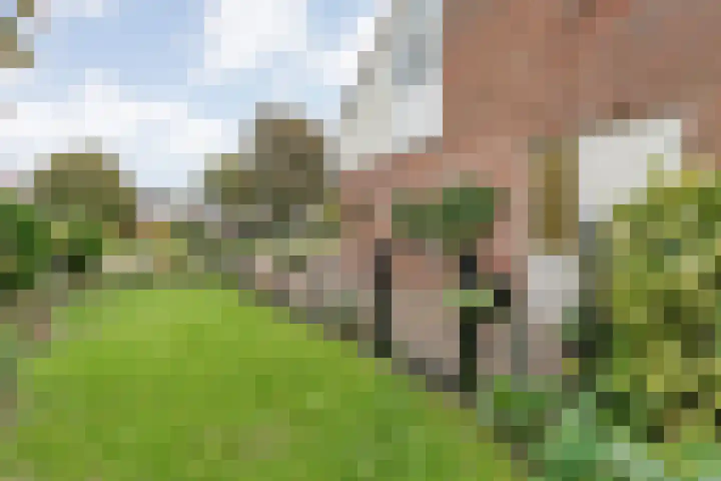 Bolsterstraat 11 Slagharen thumbnail 65