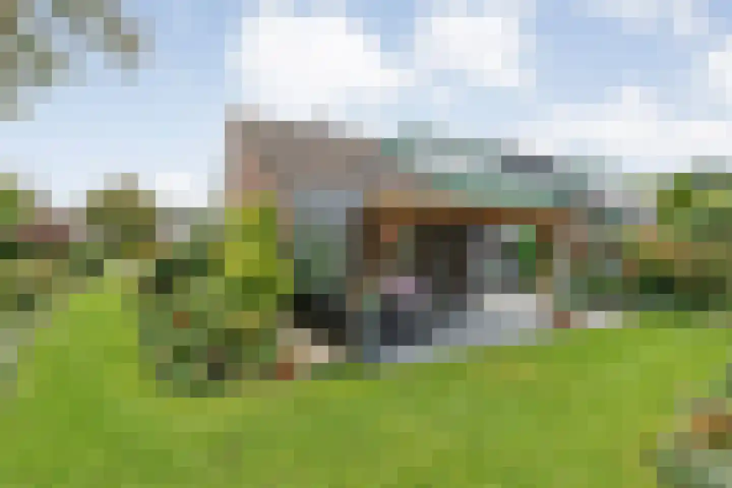 Bolsterstraat 11 Slagharen thumbnail 7