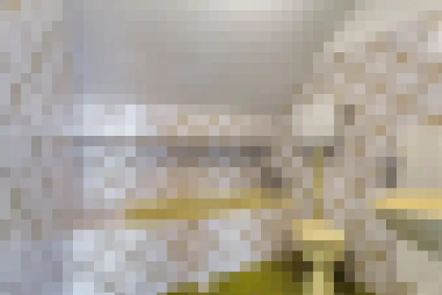 Bolsterstraat 11 Slagharen thumbnail 8