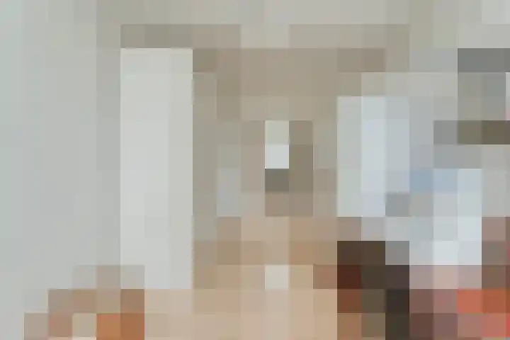 Bolsterstraat 24 Slagharen thumbnail 23