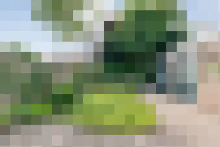 Bolsterstraat 24 Slagharen thumbnail 33