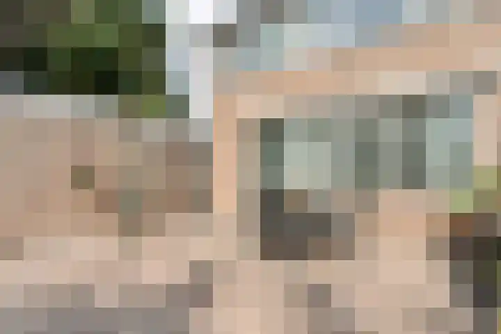 Bolsterstraat 24 Slagharen thumbnail 34