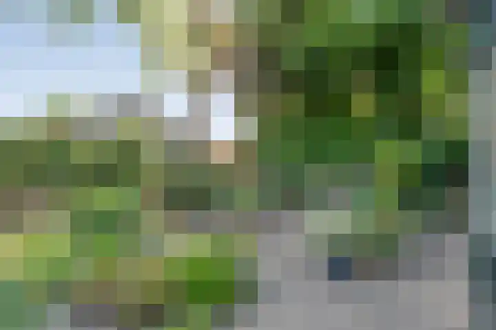 Bolsterstraat 24 Slagharen thumbnail 37