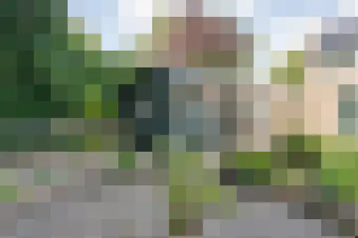 Bolsterstraat 24 Slagharen thumbnail 38