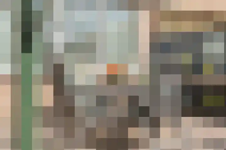 Bolsterstraat 24 Slagharen thumbnail 41