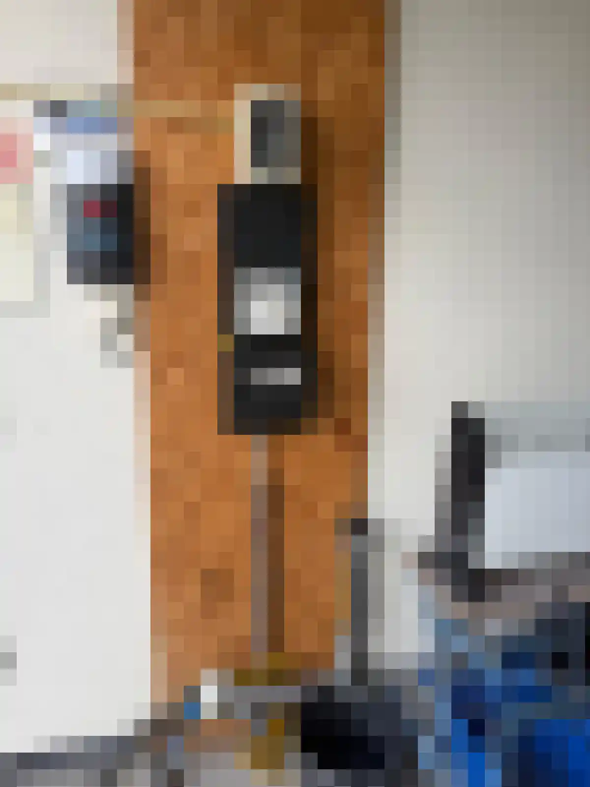Bolstoen 4 G Amsterdam thumbnail 7