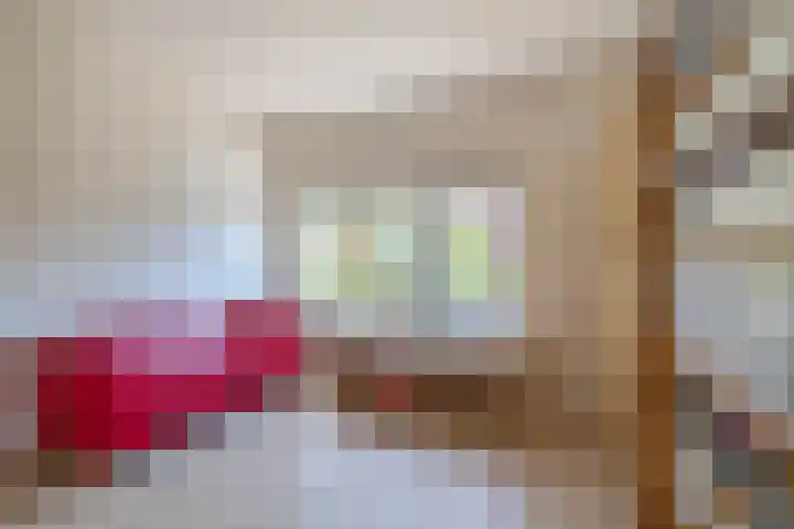Bolstraat 41 Utrecht thumbnail 35