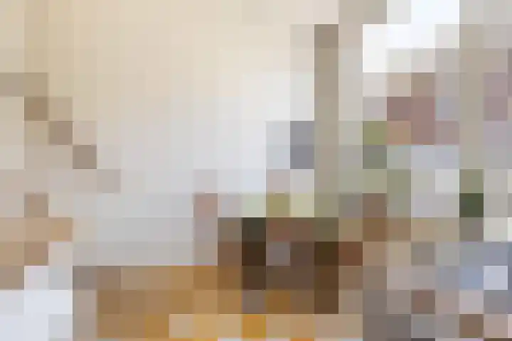 Bolstraat 44 Utrecht thumbnail 17