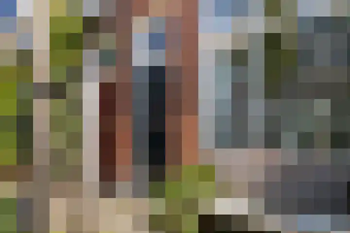 Bolstraat 44 Utrecht thumbnail 53