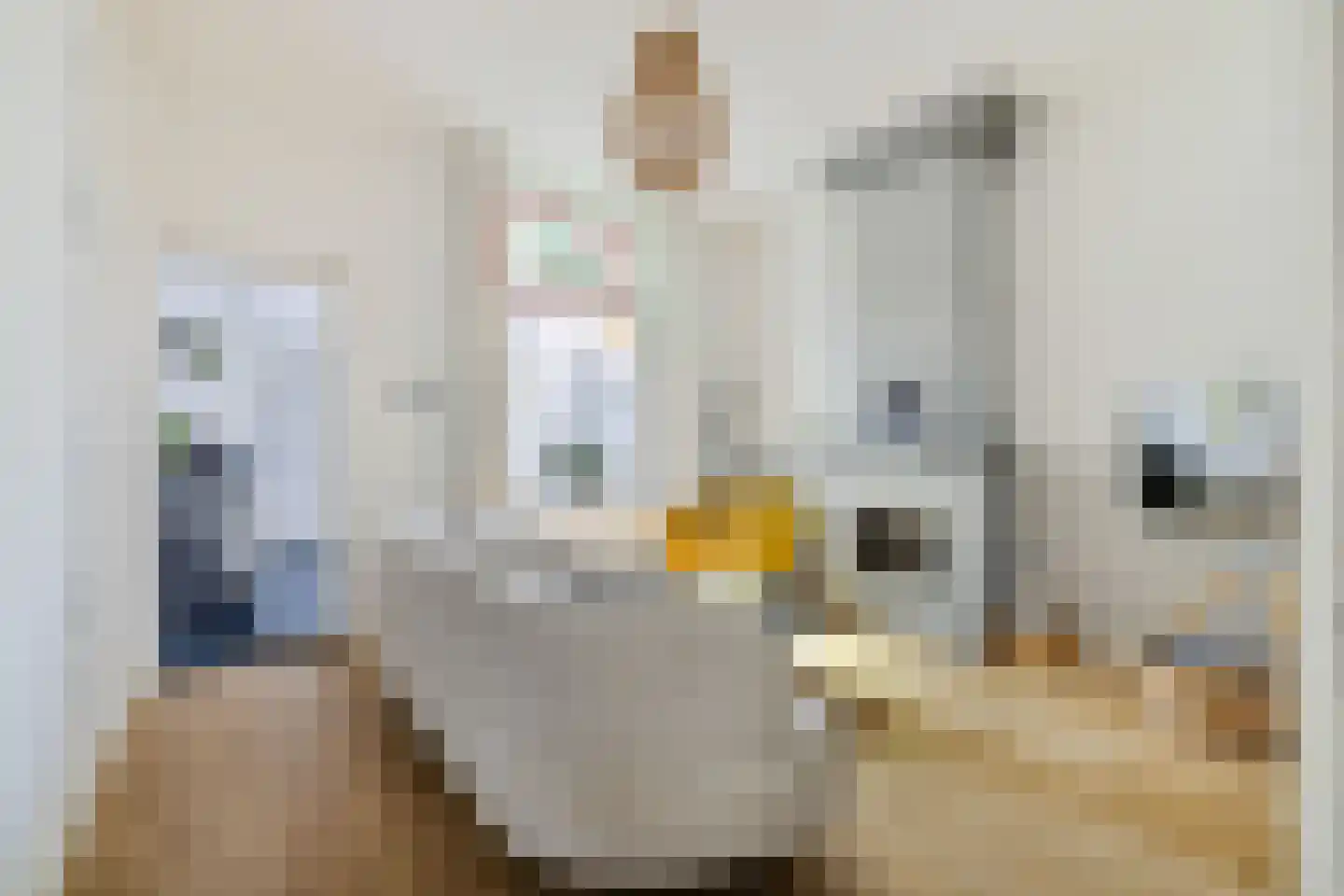 Bolstraat 89 Utrecht thumbnail 11