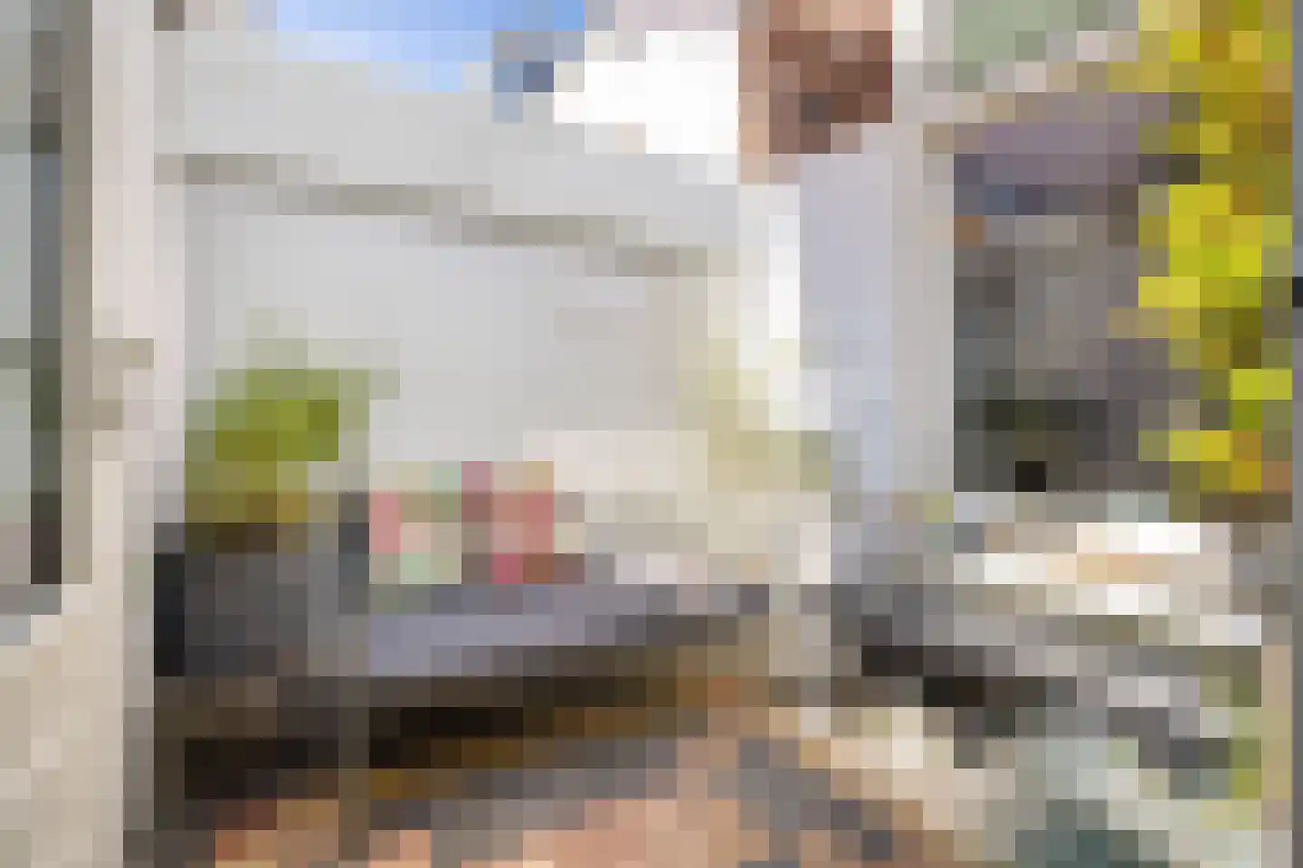 Bolstraat 89 Utrecht thumbnail 23