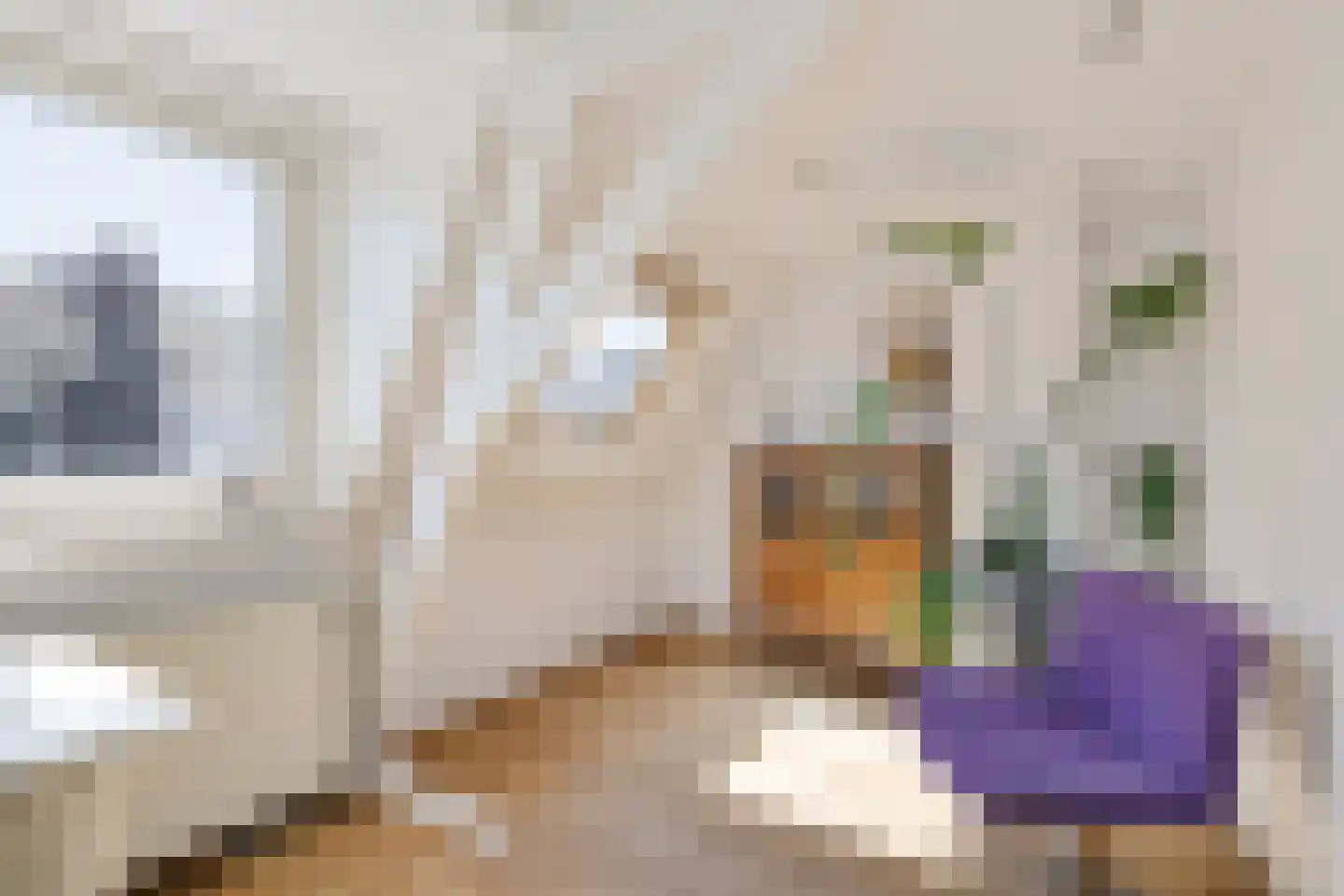 Bolstraat 89 Utrecht thumbnail 34
