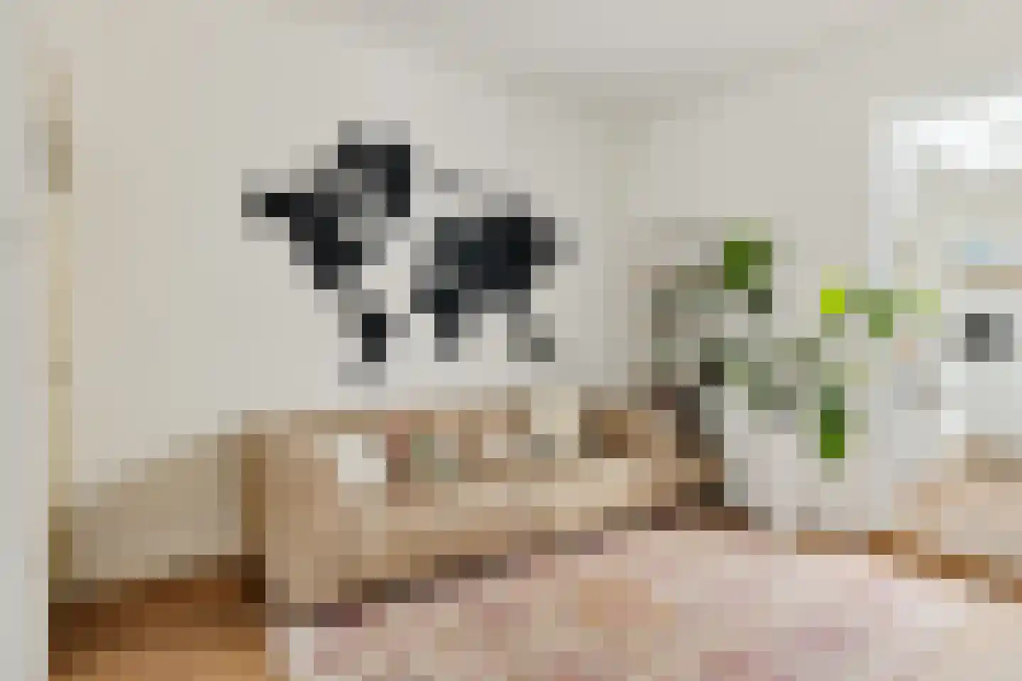 Bolstraat 93 Utrecht thumbnail 19