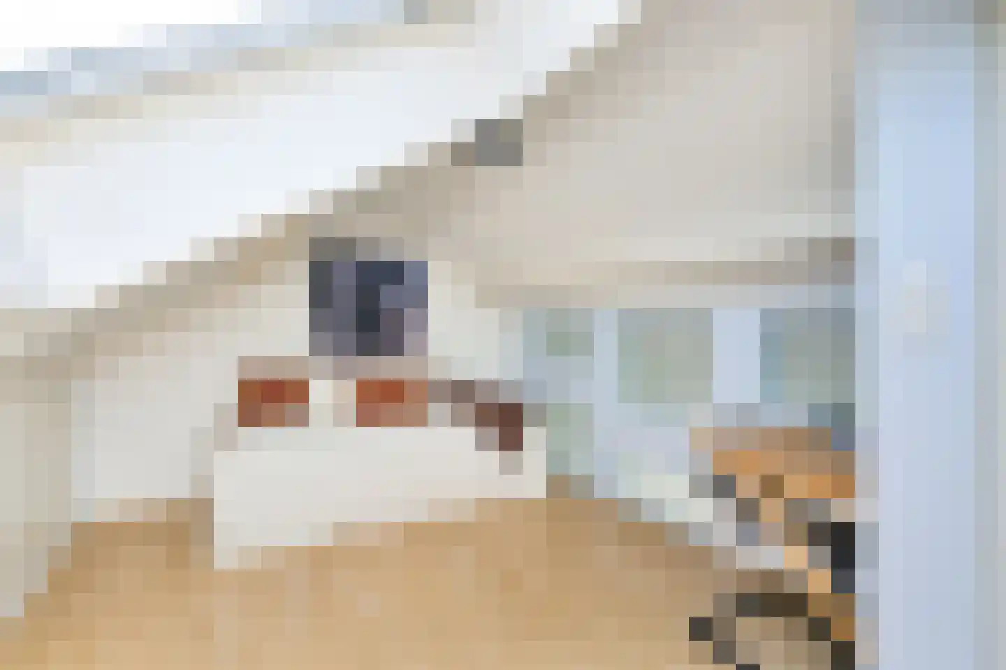 Bolstraat 93 Utrecht thumbnail 48