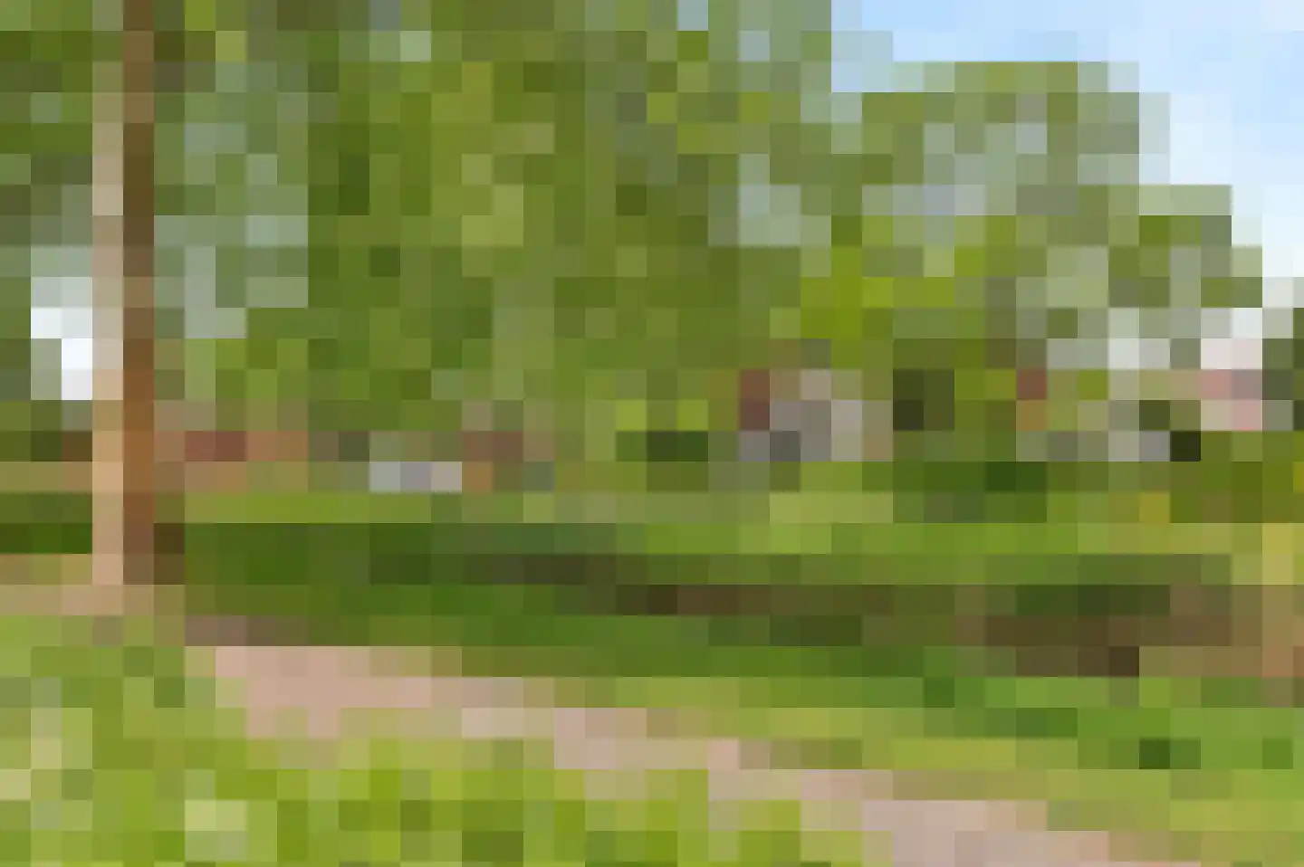Bolstralaan 34 Hoofddorp thumbnail 38