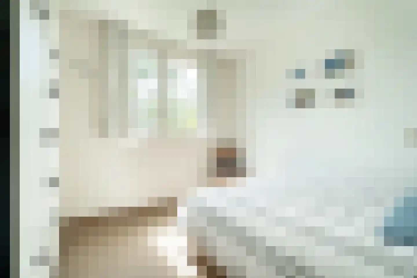 Bolstralaan 69 Hoofddorp thumbnail 23