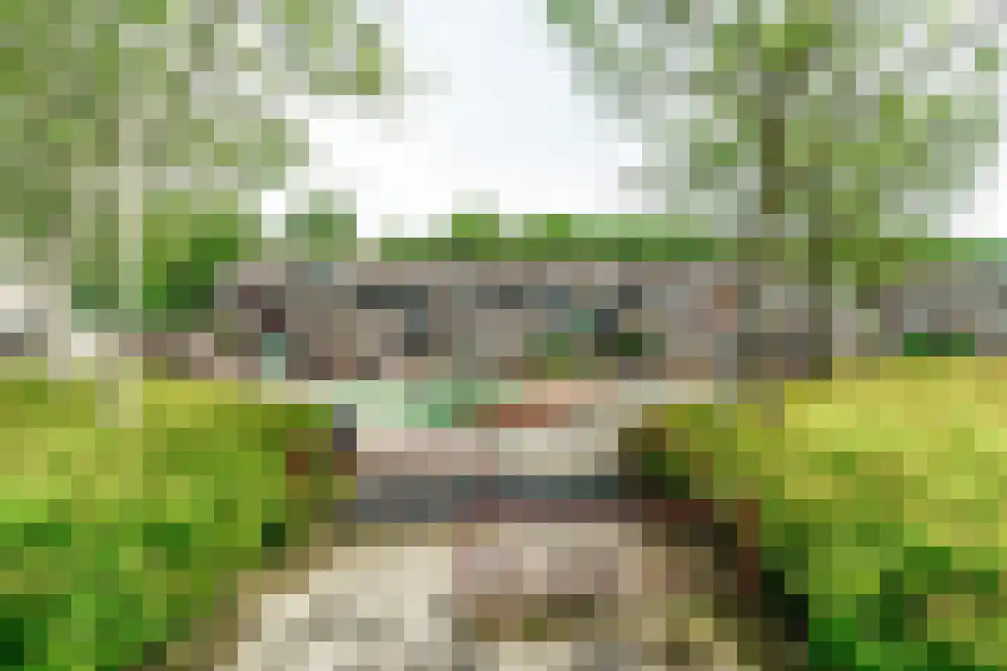 Bolstralaan 69 Hoofddorp thumbnail 32