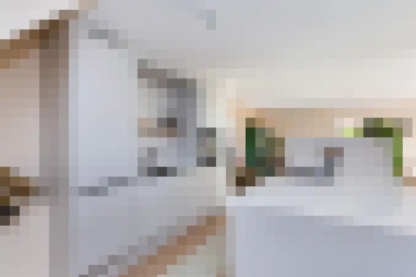 Bolstraschans 27 Zoetermeer thumbnail 16