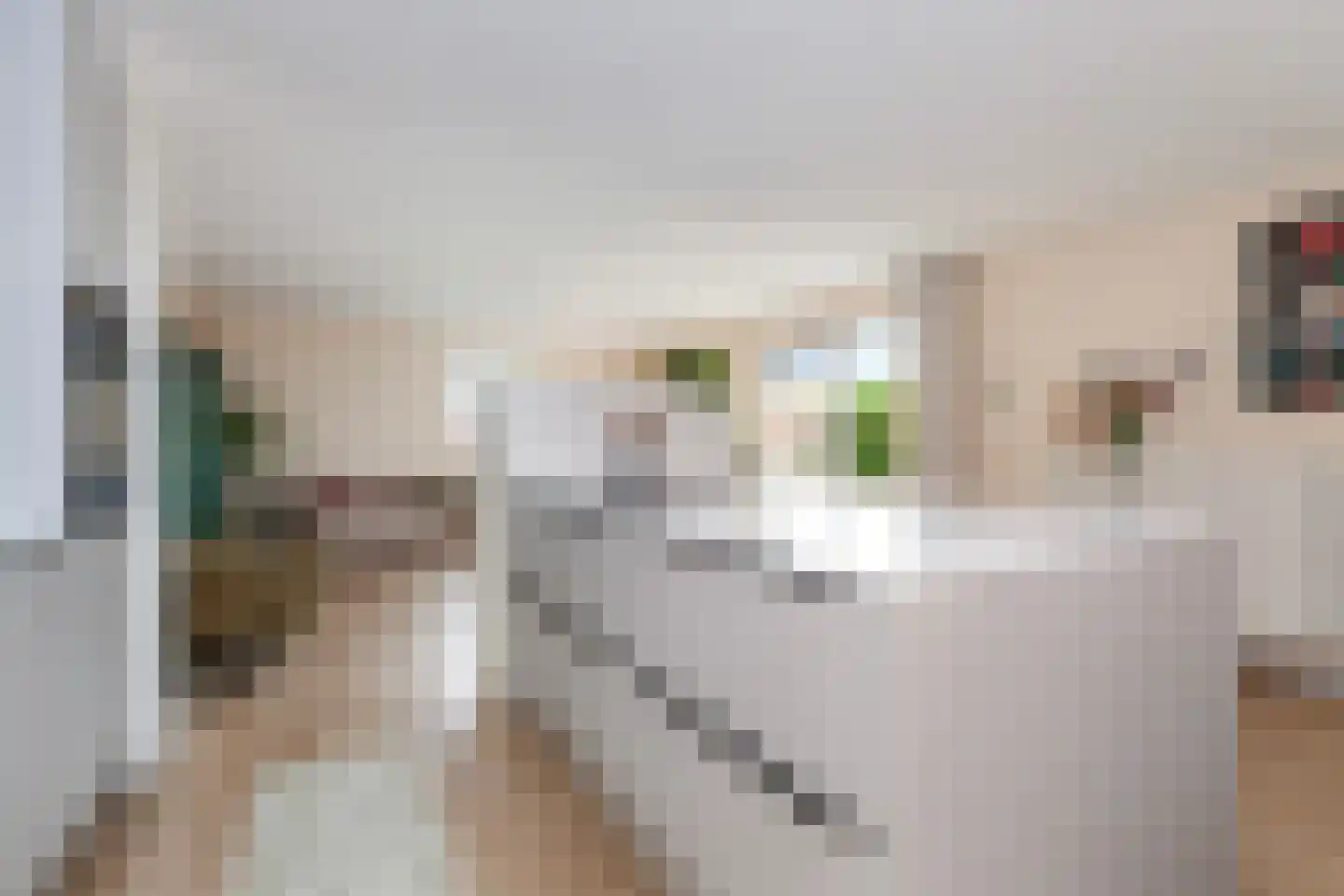 Bolstraschans 27 Zoetermeer thumbnail 17