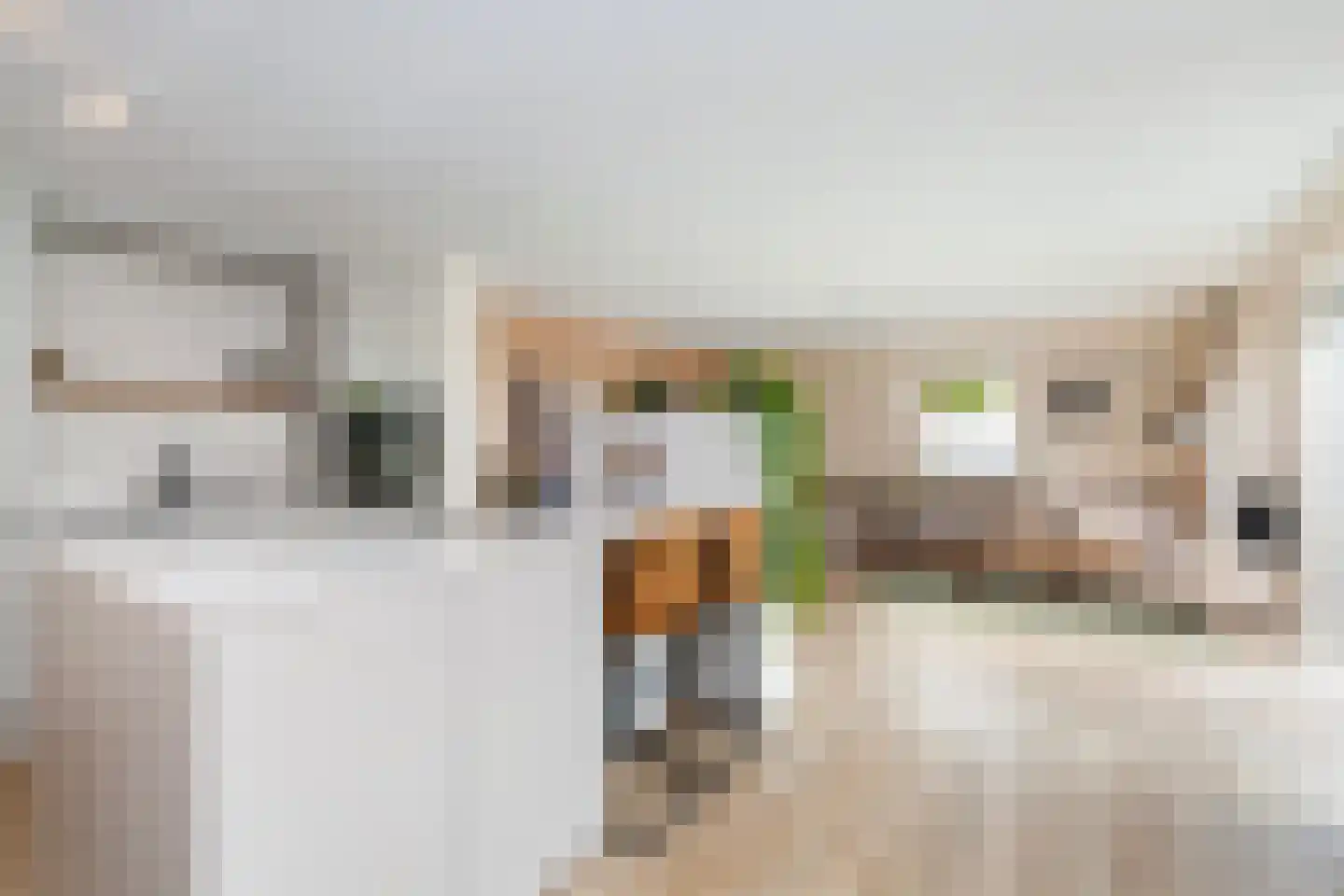Bolstraschans 27 Zoetermeer thumbnail 20