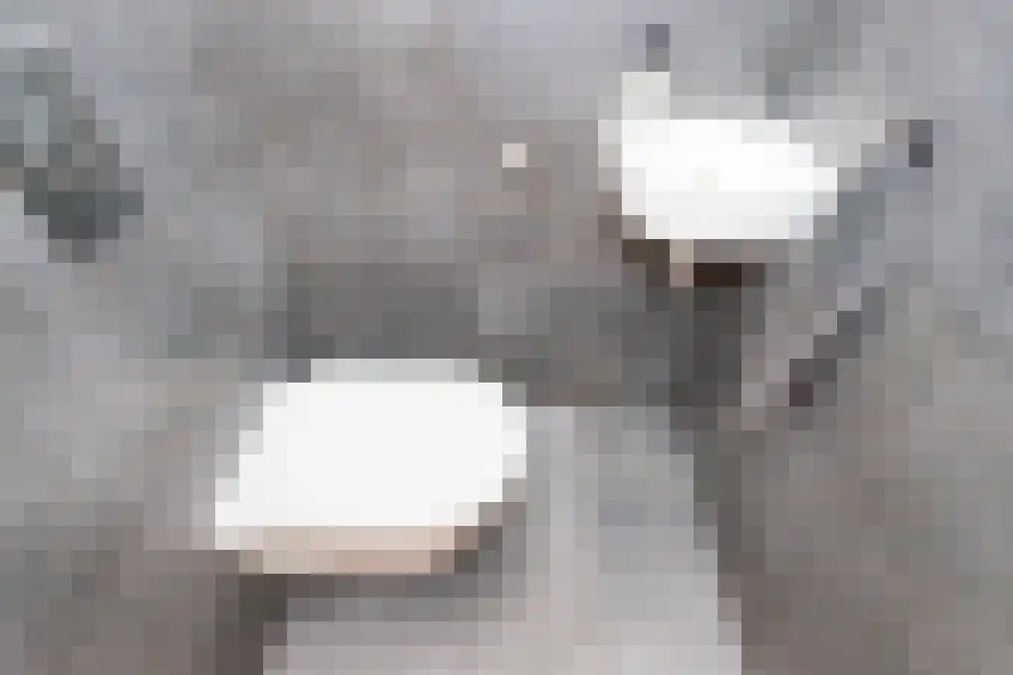 Bolstraschans 27 Zoetermeer thumbnail 23