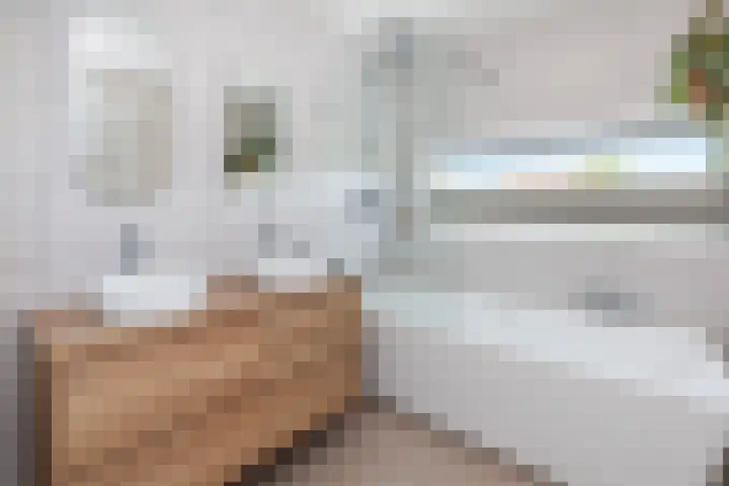 Bolstraschans 27 Zoetermeer thumbnail 34