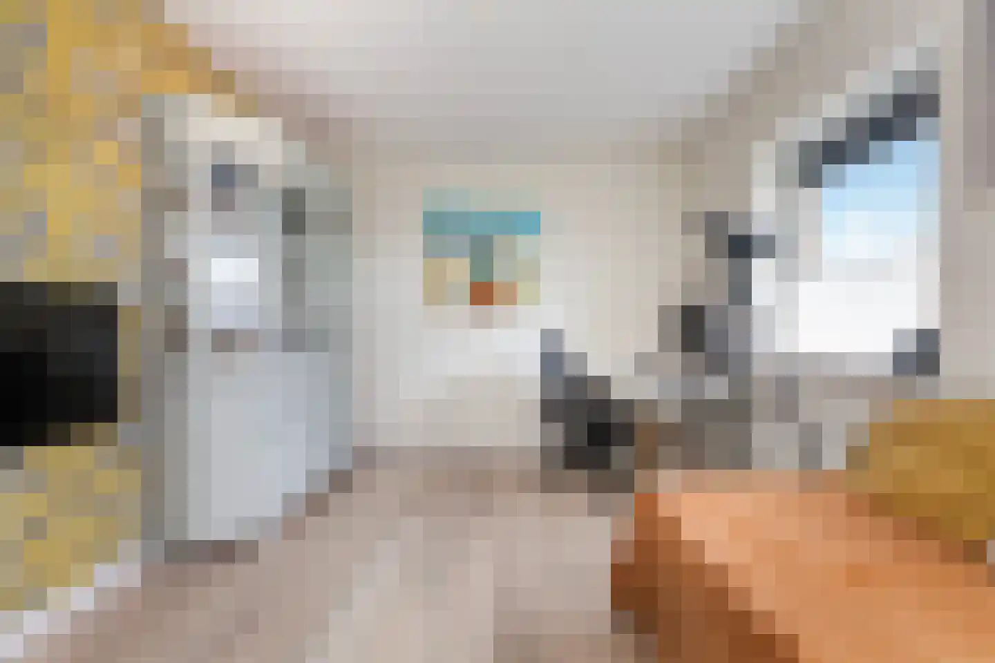 Bolstraschans 27 Zoetermeer thumbnail 38
