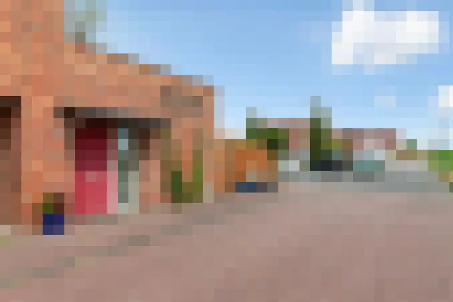 Bolstraschans 27 Zoetermeer thumbnail 40