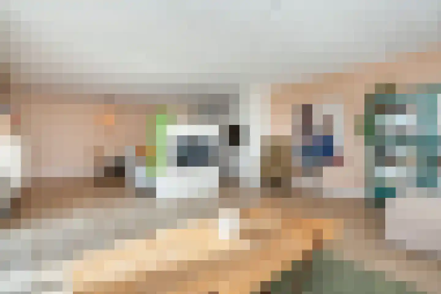 Bolstraschans 27 Zoetermeer thumbnail 5