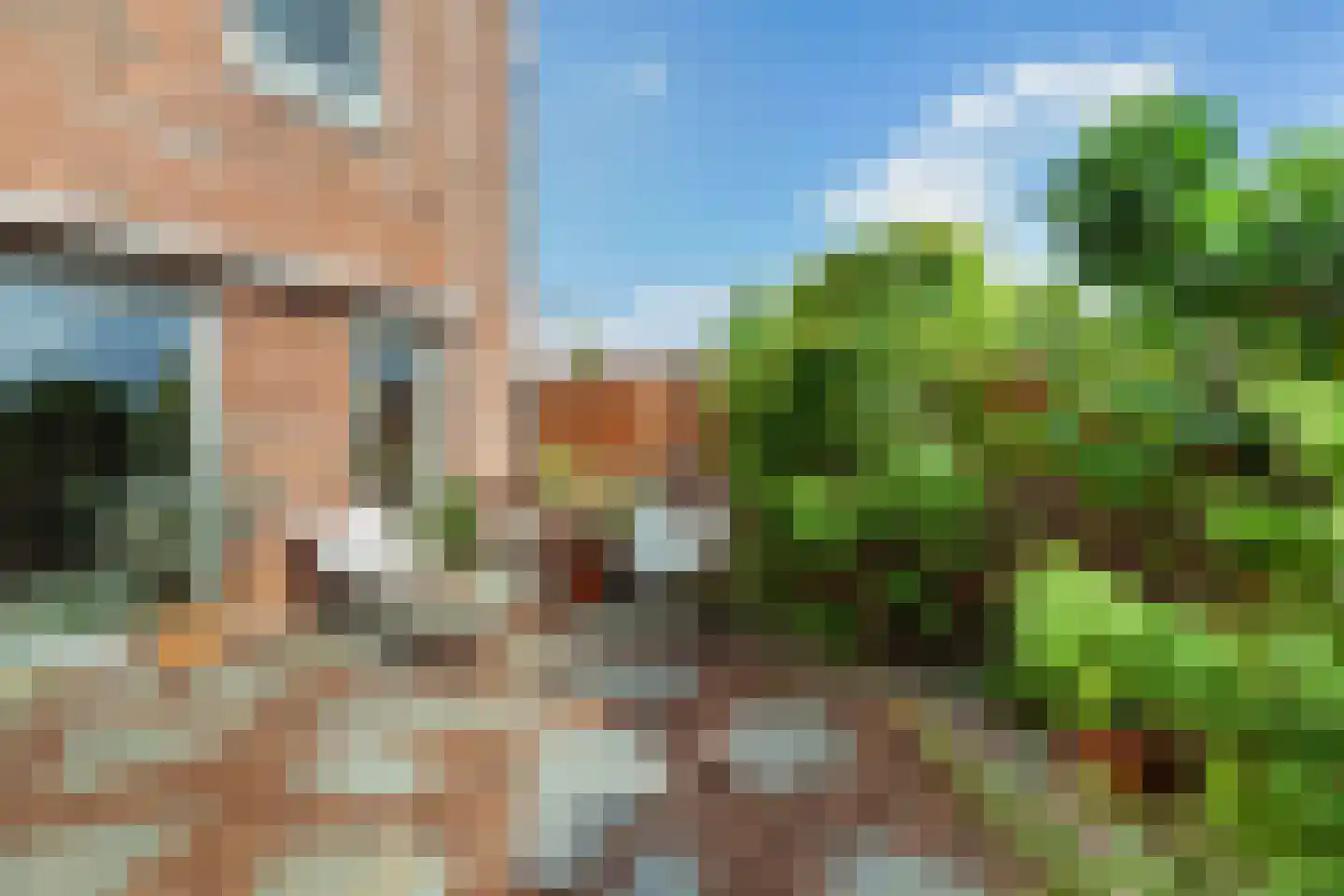 Bolstraschans 27 Zoetermeer thumbnail 9
