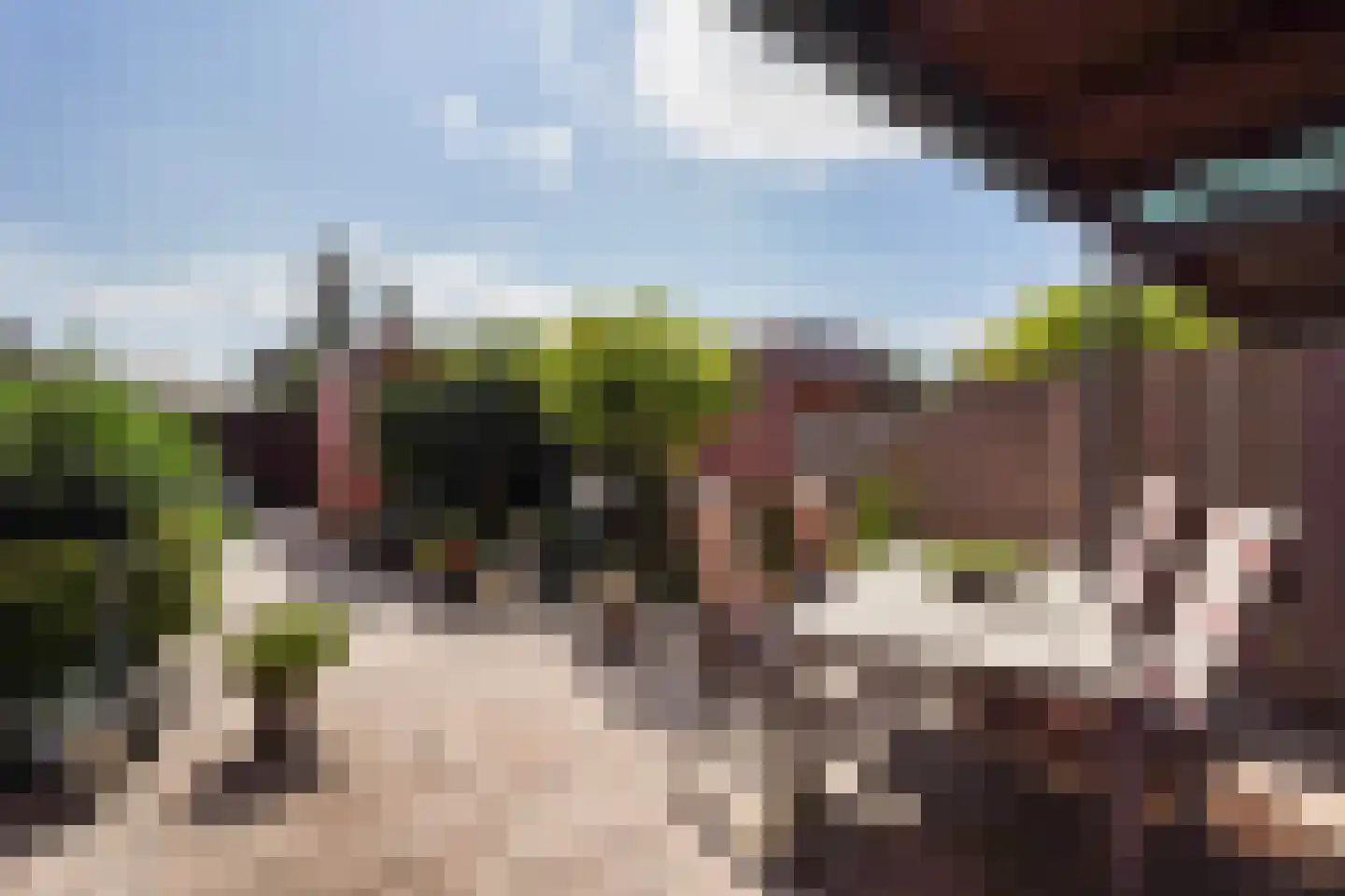 Bolstraschans 3 Zoetermeer thumbnail 10