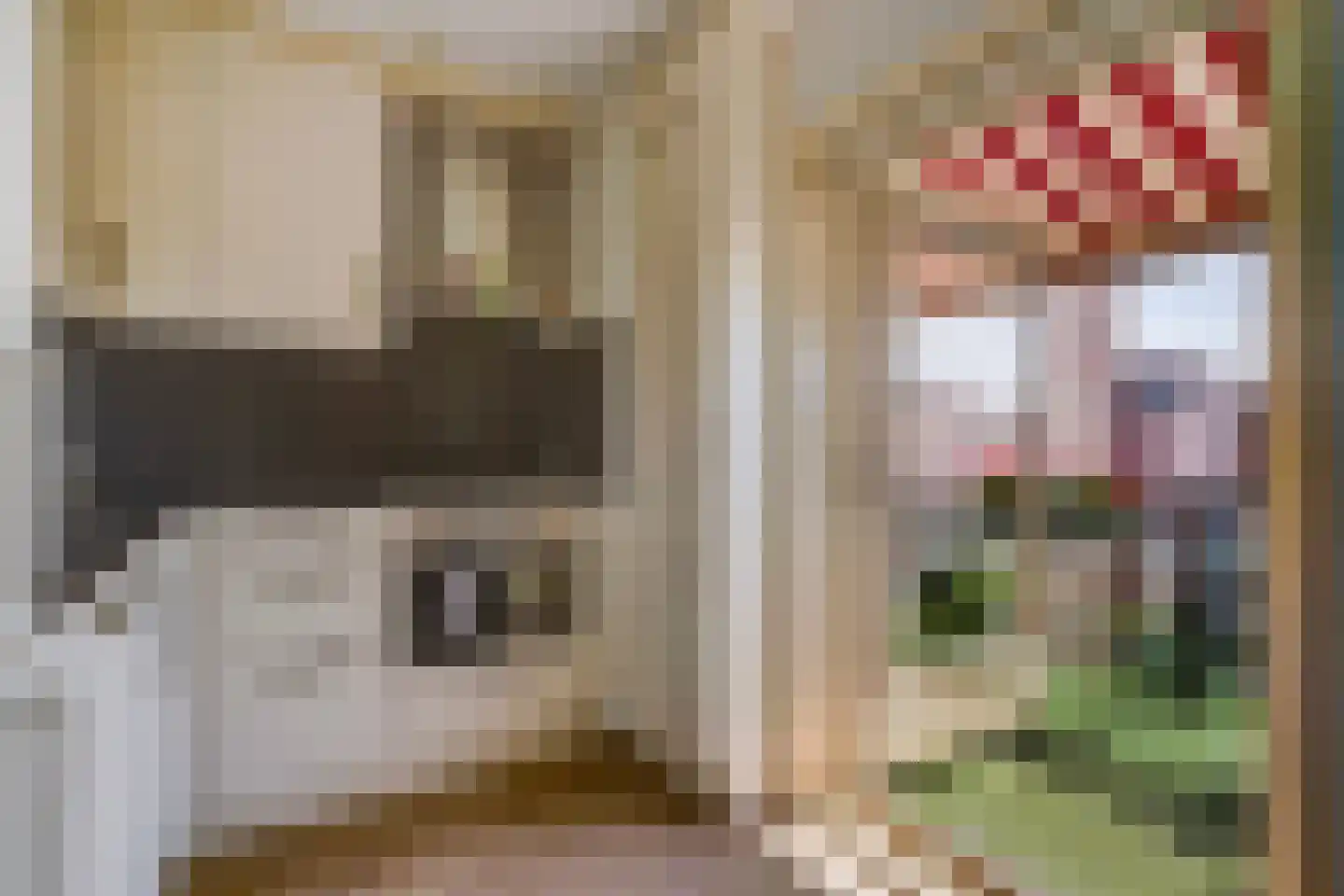 Bolstraschans 3 Zoetermeer thumbnail 21