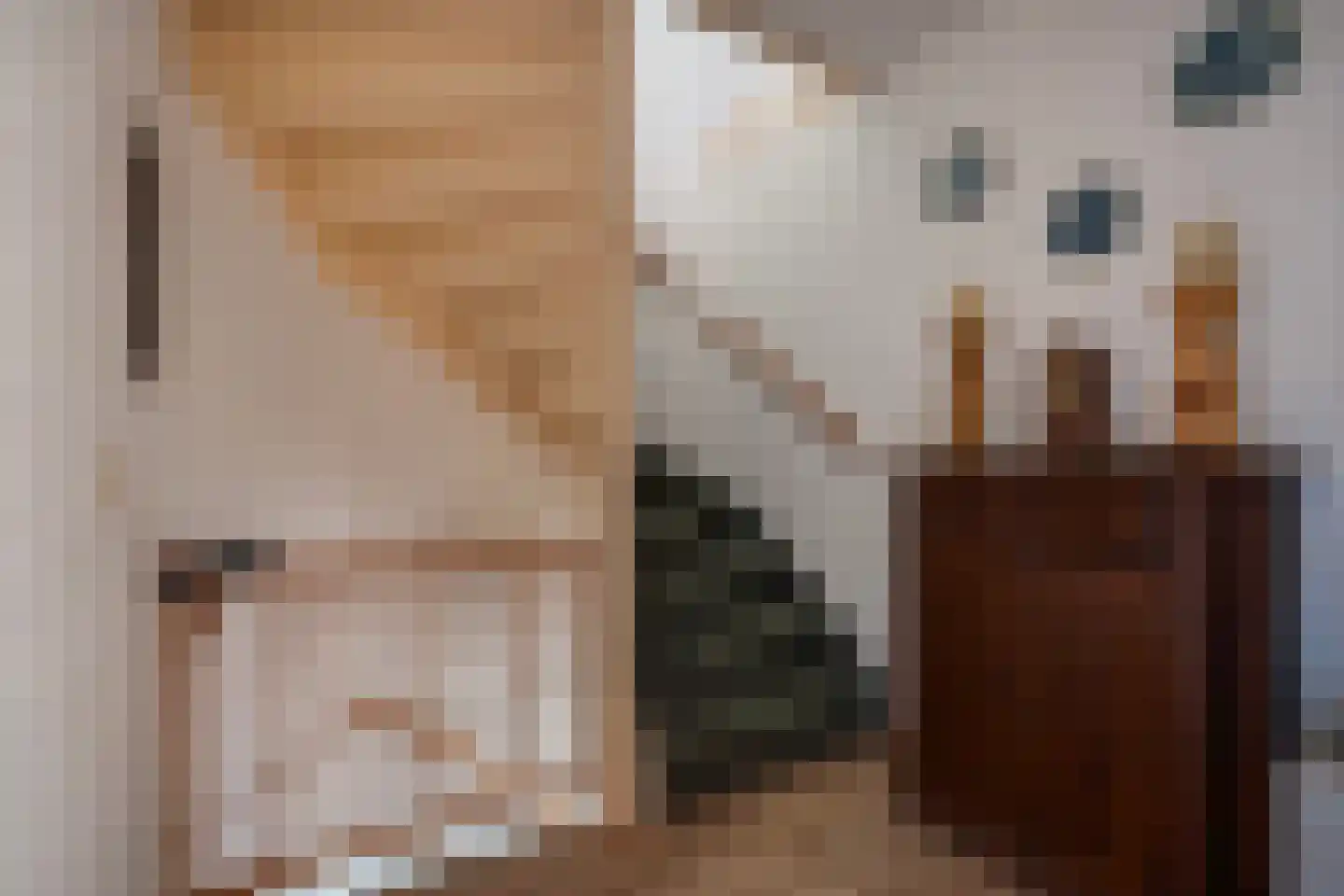 Bolstraschans 3 Zoetermeer thumbnail 21
