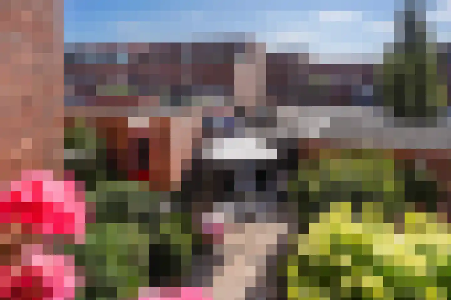 Bolstraschans 3 Zoetermeer thumbnail 24