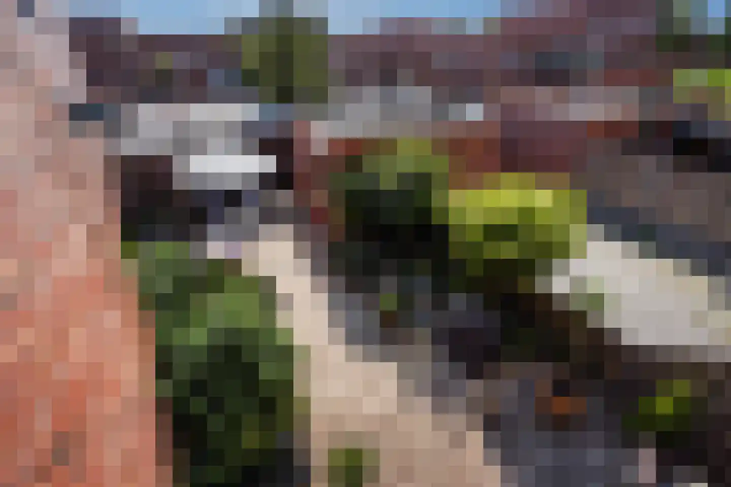 Bolstraschans 3 Zoetermeer thumbnail 25