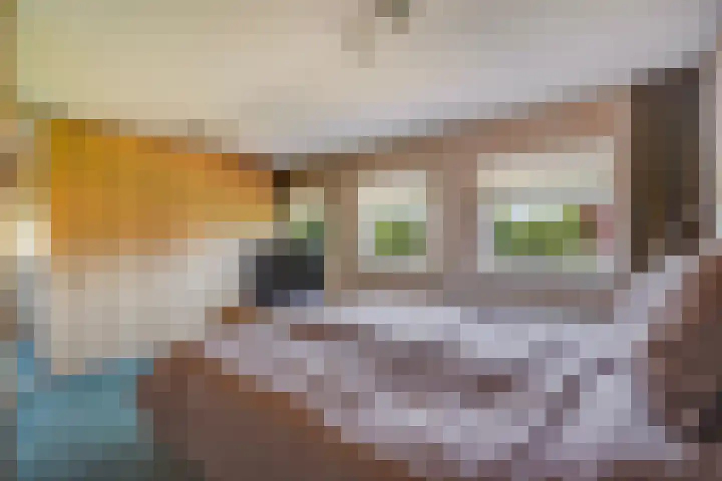 Bolstraschans 3 Zoetermeer thumbnail 32