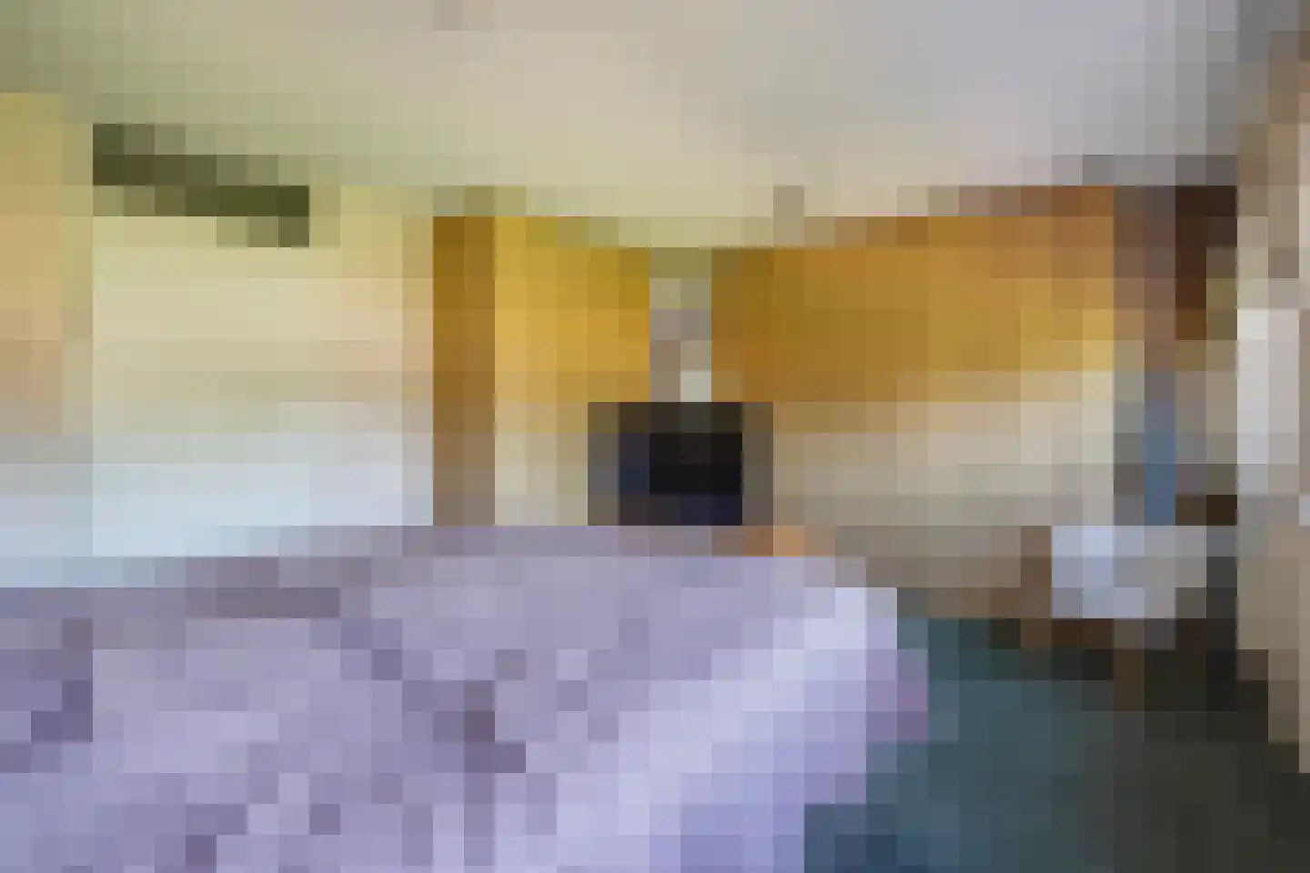 Bolstraschans 3 Zoetermeer thumbnail 33