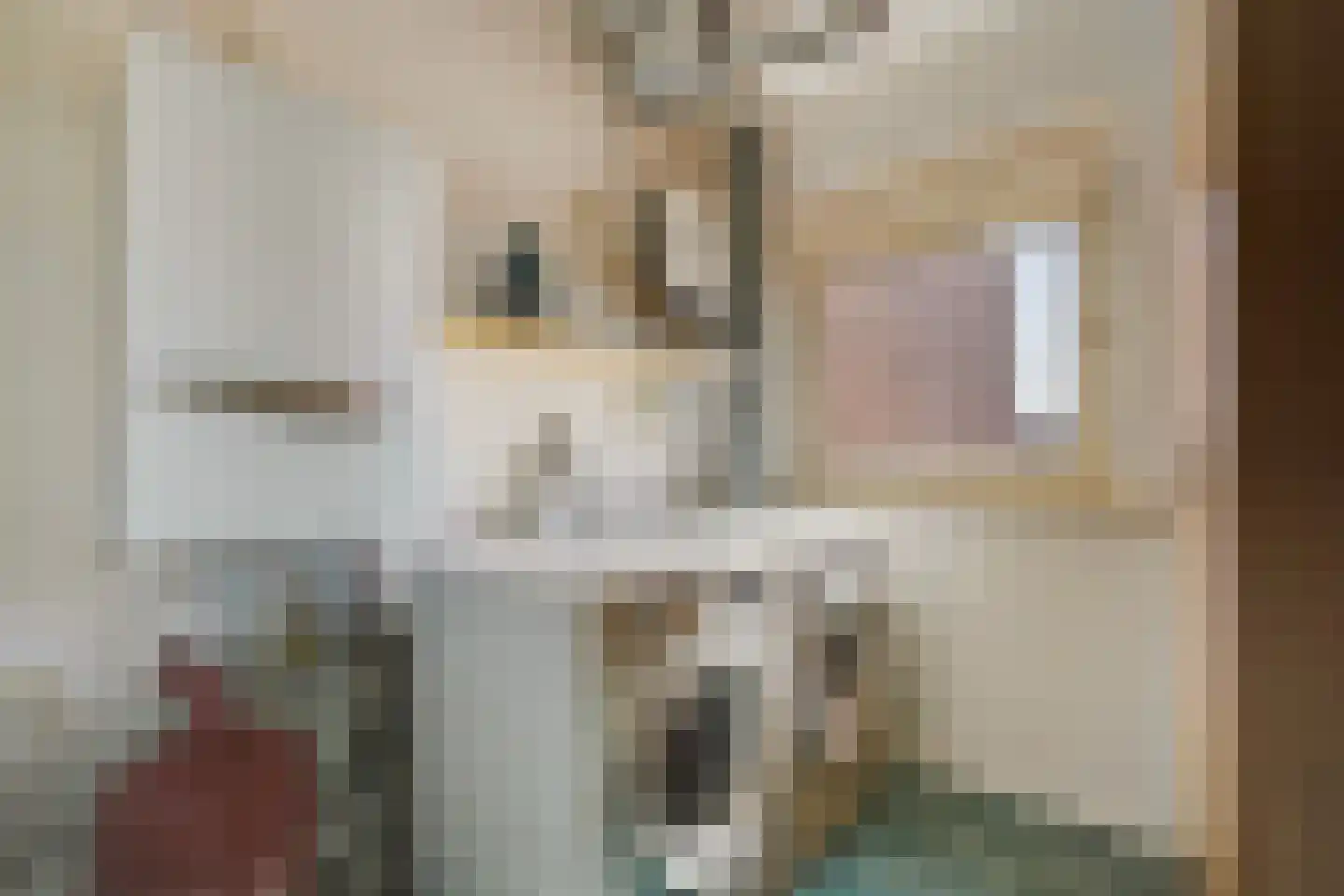 Bolstraschans 3 Zoetermeer thumbnail 34