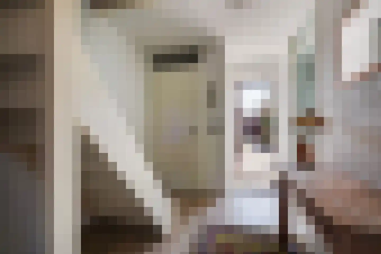 Bolstraschans 3 Zoetermeer thumbnail 37