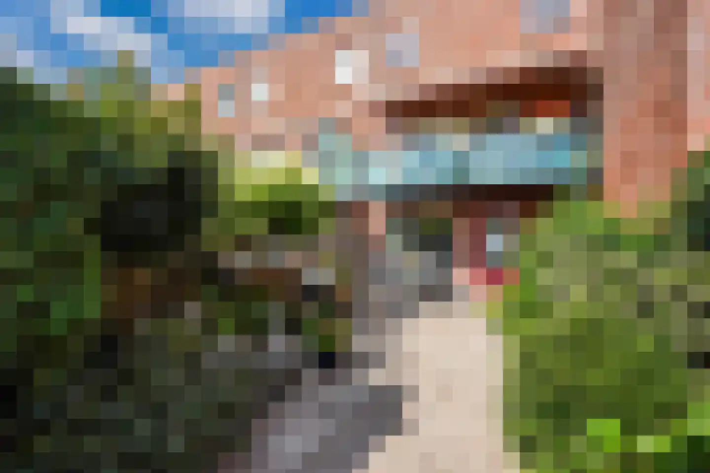 Bolstraschans 3 Zoetermeer thumbnail 4