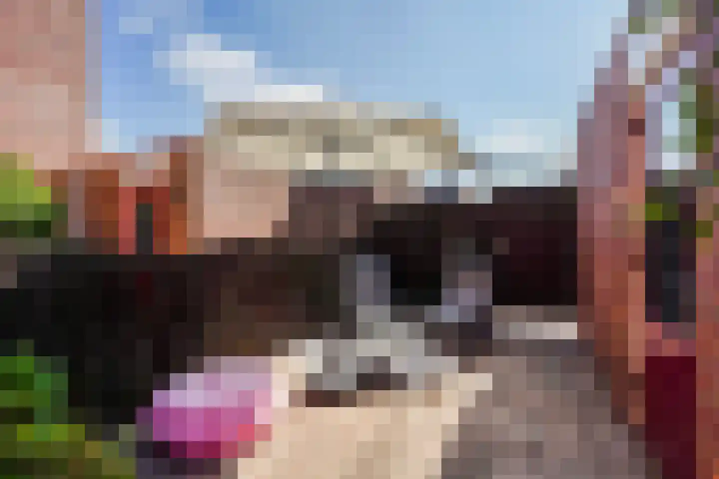 Bolstraschans 3 Zoetermeer thumbnail 9
