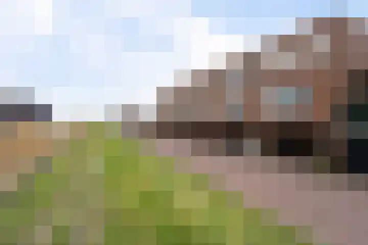 Bolstraschans 8 Zoetermeer thumbnail 10